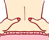 腎兪のツボイラスト