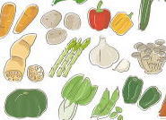 免疫力のつく野菜のイラスト
