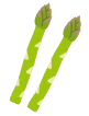 アスパラのイラスト