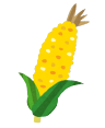 トウモロコシのイラスト