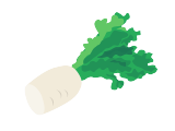 大根の切れ端のイラスト