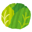 キャベツのイラスト