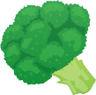 ブロッコリーのイラスト